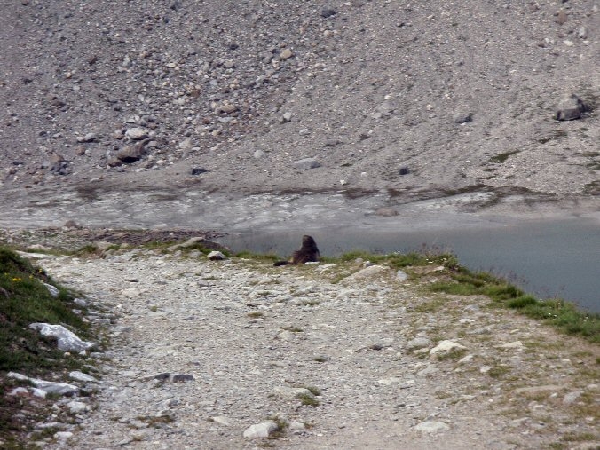 Aiguille de la Vanoise